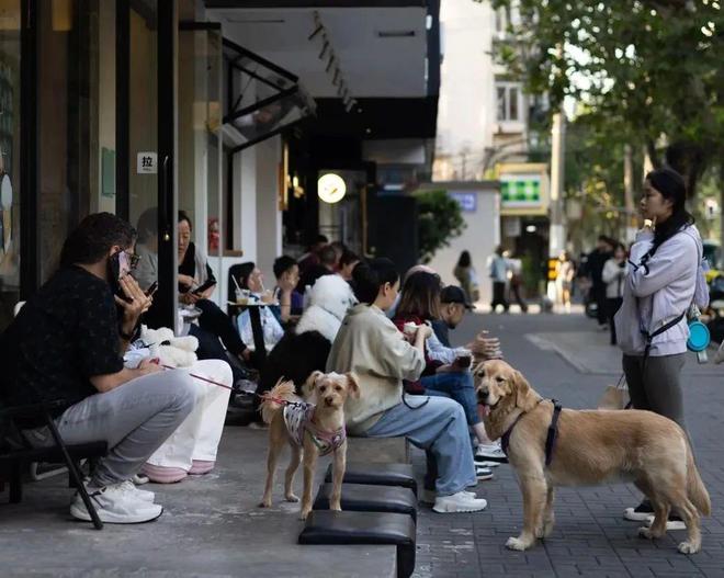 轻人抛弃了双11爱上了“老年严选”j9九游真人游戏第一平台这届脆皮年(图1)