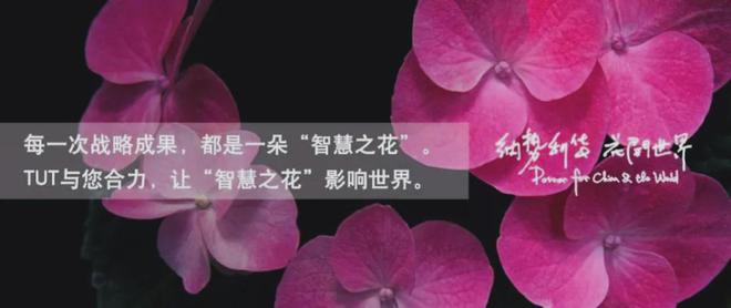 （IKEA）的全球化历程、品牌战略与启示九游会登录j9入口从小镇走向世界 宜家(图6)